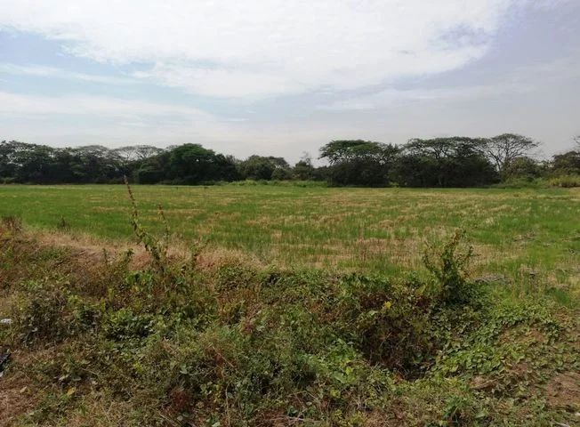 Terreno en venta en La Aurora — imagen 1