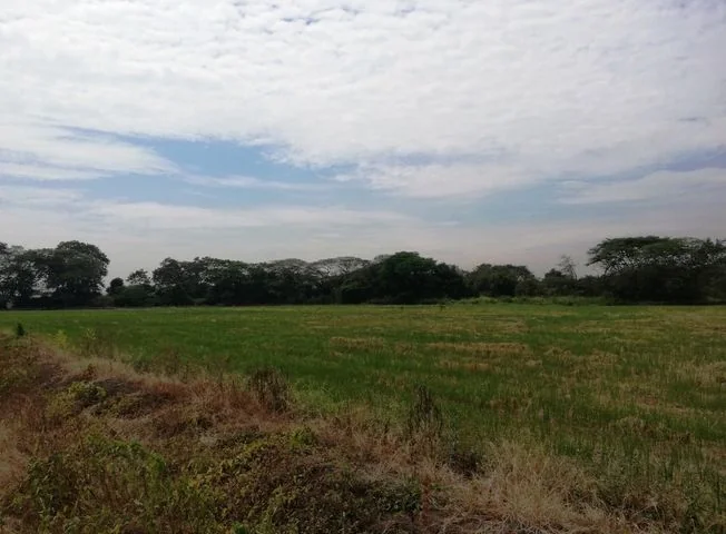 Terreno en venta en La Aurora — imagen 4