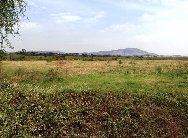 Terreno en venta en La Aurora — imagen 3