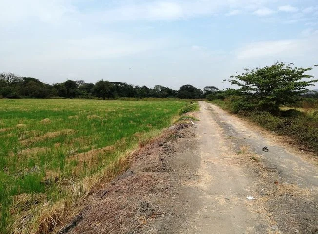 Terreno en venta en La Aurora — imagen 2