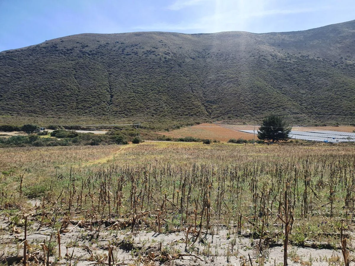Lotes de 10 Hectáreas en Venta en Calacalí — imagen 5