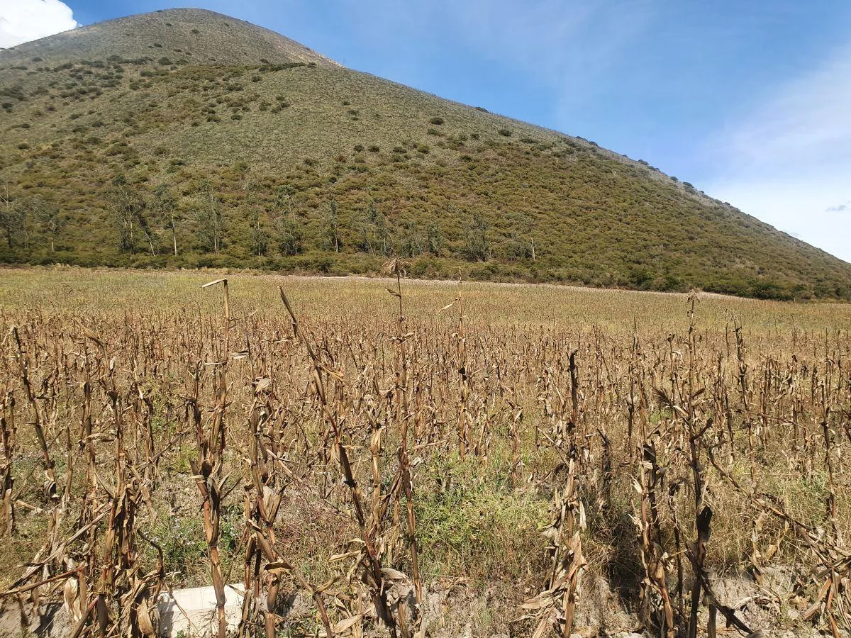 Lotes de 10 Hectáreas en Venta en Calacalí — imagen 2