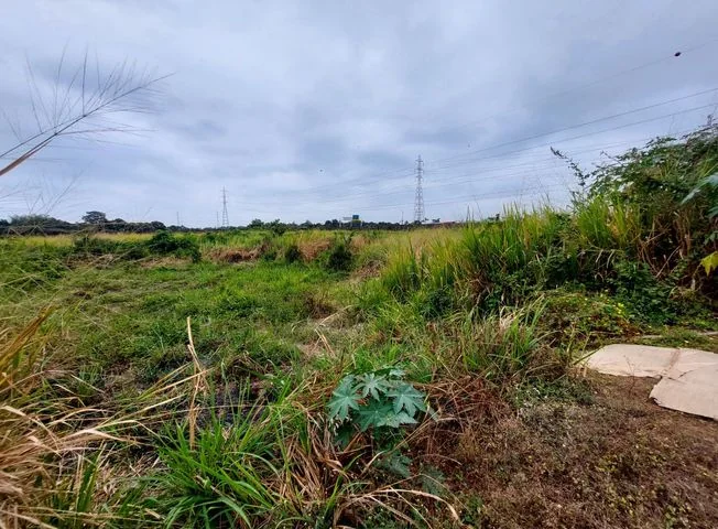 Terreno en venta en Milagro — imagen 4