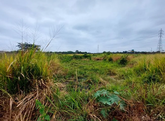 Terreno en venta en Milagro — imagen 3
