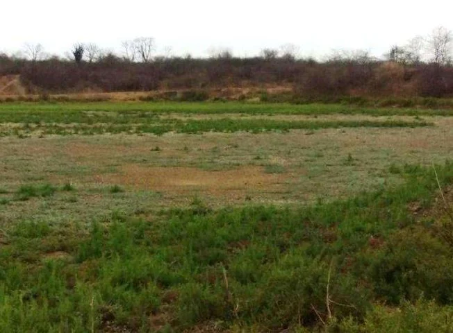 Terreno en venta en Duran — imagen 3