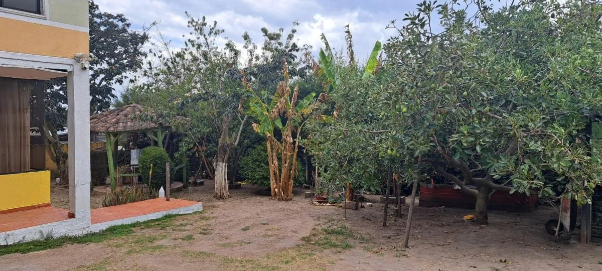 Hermosa Casa Amplia en La Primavera Cumbaya, Negociable — imagen 3
