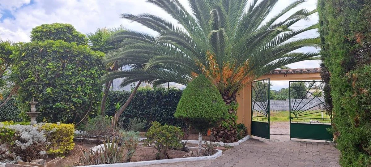 Hermosa Casa Amplia en La Primavera Cumbaya, Negociable — imagen 2