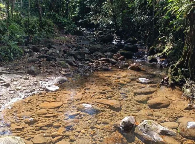 Terreno en venta en San Miguel De Los Bancos — imagen 1