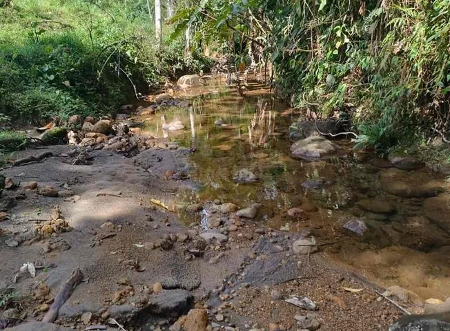 Terreno en venta en San Miguel De Los Bancos — imagen 2