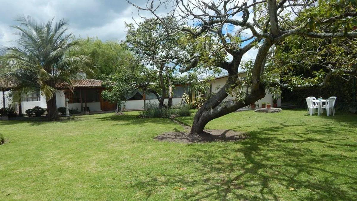 Terreno de Venta 2532 m² Cos 35/105 Tumbaco La Esperanza — imagen 5