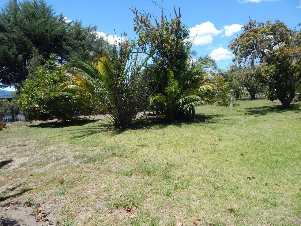 Terreno de Venta 2532 m² Cos 35/105 Tumbaco La Esperanza — imagen 3