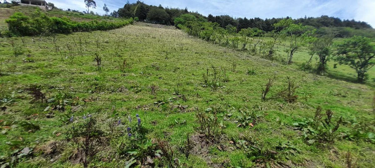 Terreno en Venta de 2,198.54 m² El Condado — imagen 2