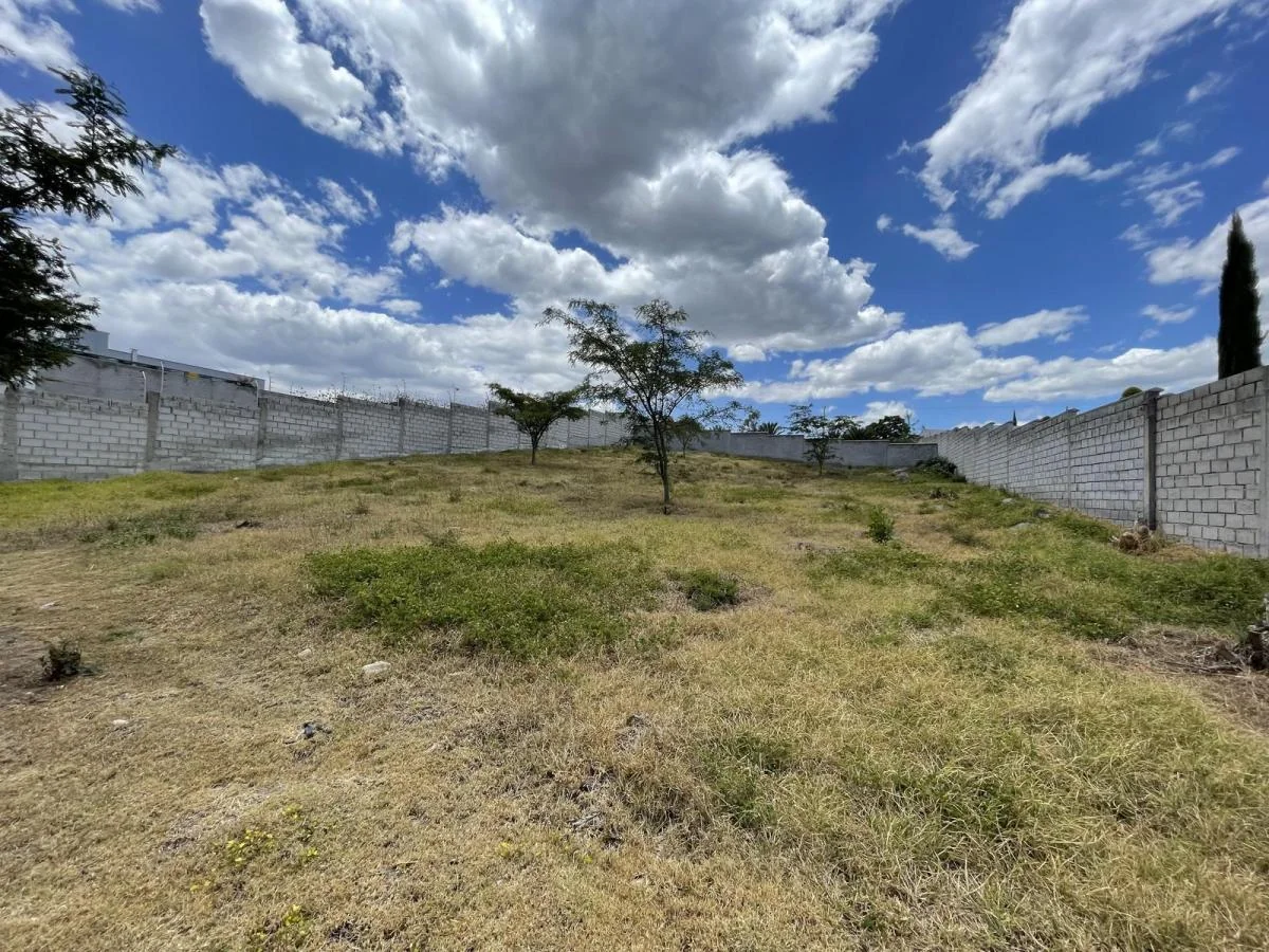Terreno de Venta en Tumbaco Sector Collaqui — imagen 5