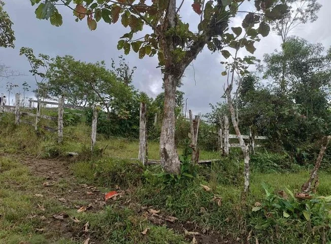 Terreno en venta en Pacto — imagen 1
