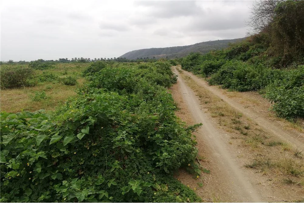 Terreno Agrícola Urbano de Venta Charapoto Manabí, Manabí — imagen 2