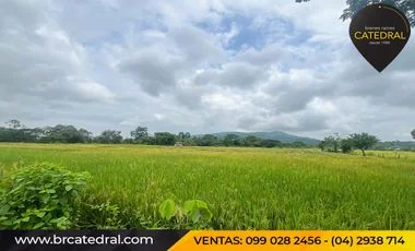 Terreno en venta en Daule — imagen 4