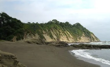 Terreno en venta en Muisne — imagen 4