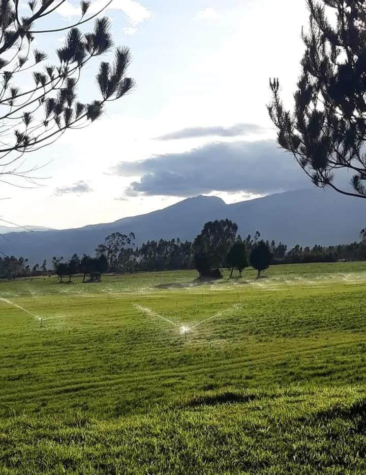 Terreno de m² en Venta en Lasso, Cotopaxi — imagen 5