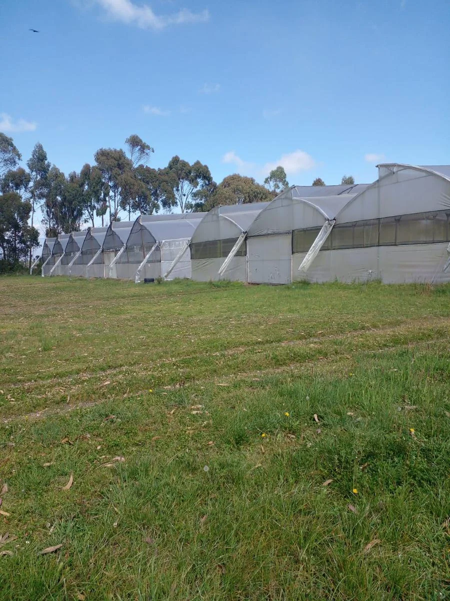 Terreno de m² en Venta en Lasso, Cotopaxi — imagen 4