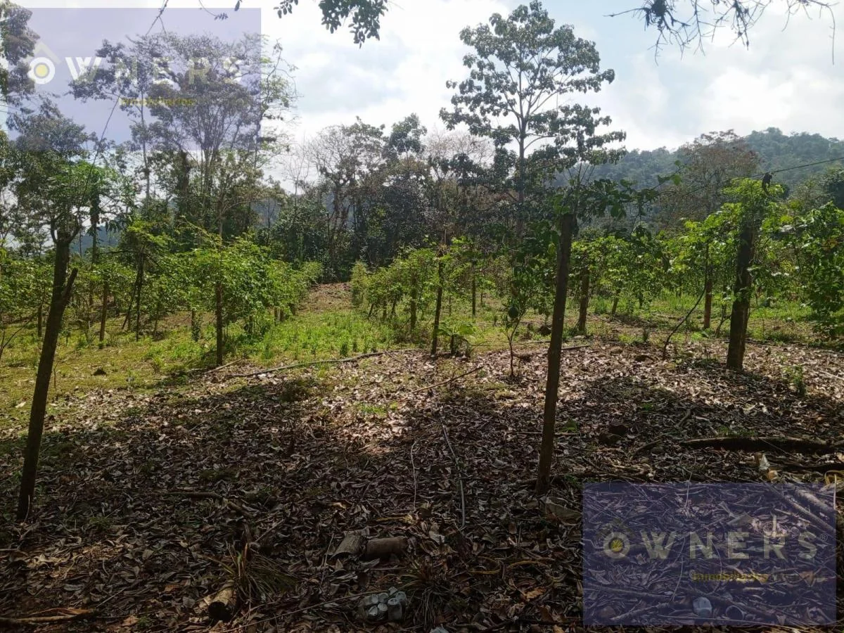 Venta Propiedad Turística Agro Industrial 226 Hect. en Bucay (Age), Chimborazo — imagen 2