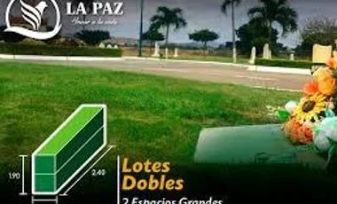 Terreno en venta en Pedro Carbo — imagen 5