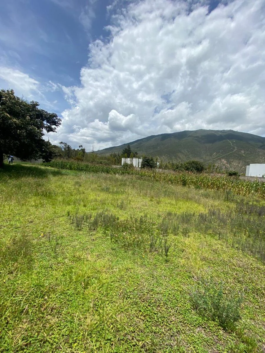 Venta Terreno La Pampa — imagen 2