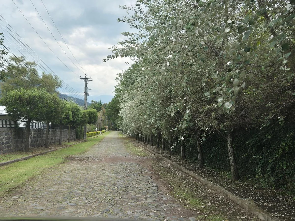 Espectacular Terreno 7.300 m² - Armenia 2 - Valle de Los Chillos — imagen 4