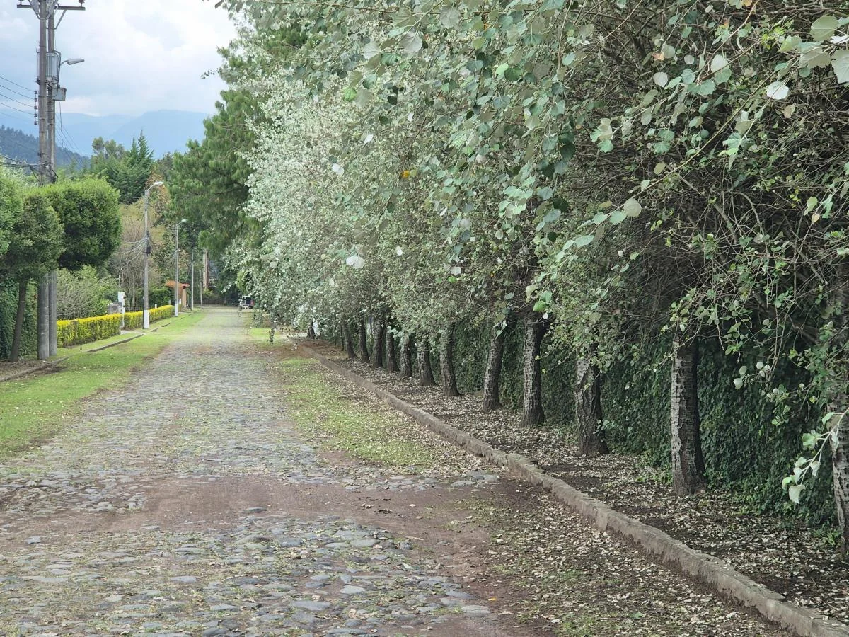 Espectacular Terreno 7.300 m² - Armenia 2 - Valle de Los Chillos — imagen 3