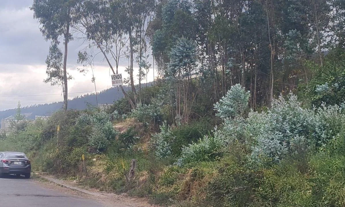 De Oportunidad! Terreno de 2862 m² en Venta en Conocoto, Ideal Para Proyecto Vip — imagen 5