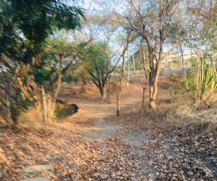 Venta 34 Hect Via a La Costa Km 23, en La Via (Jlr), Guayas — imagen 5