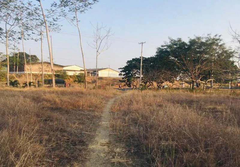 Venta 34 Hect Via a La Costa Km 23, en La Via (Jlr), Guayas — imagen 4