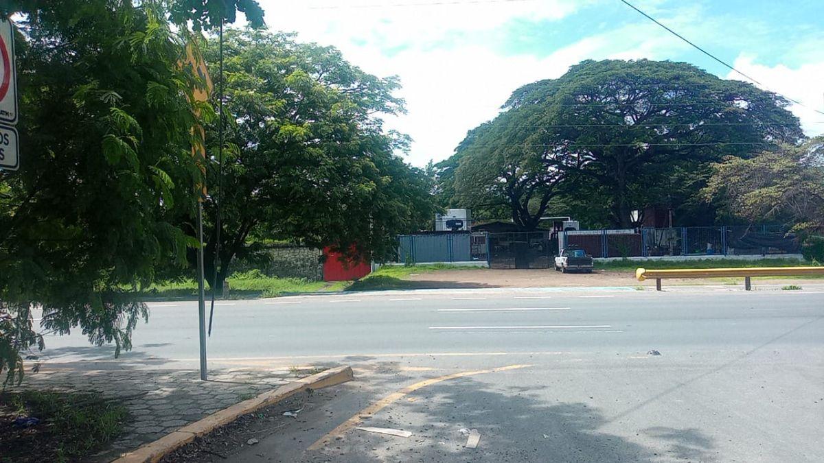 Terreno de 85143 m² en Alquiler en Vía a La Costa, Guayas — imagen 9