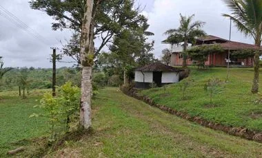 Terreno en venta en Puerto Quito — imagen 3