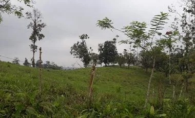 Terreno en venta en Puerto Quito — imagen 2
