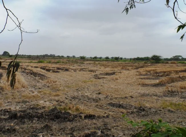 Terreno en venta en Duran — imagen 3
