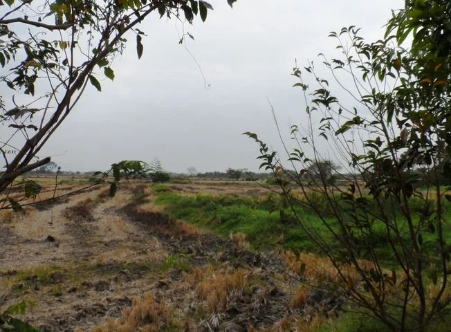 Terreno en venta en Duran — imagen 2