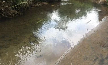 Terreno en venta en Santo Domingo — imagen 4