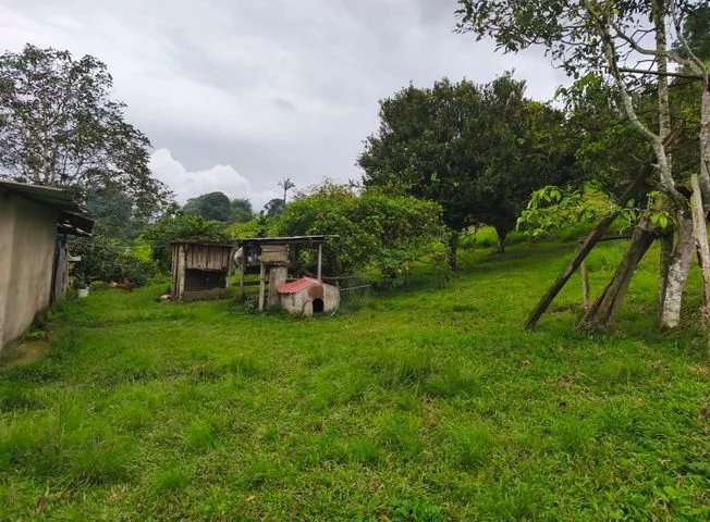 Terreno en venta en Santo Domingo — imagen 3