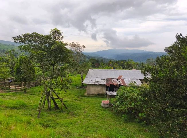 Terreno en venta en Santo Domingo — imagen 2