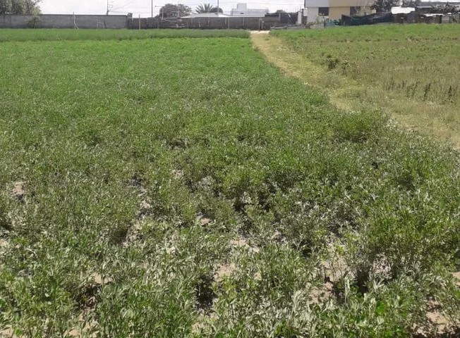 Terreno en venta en Tumbaco — imagen 1