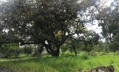 Terreno en venta en Tumbaco — imagen 5