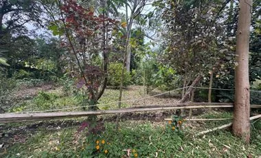Terreno en venta en Tumbaco — imagen 4