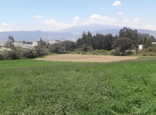 Terreno en venta en Tumbaco — imagen 3