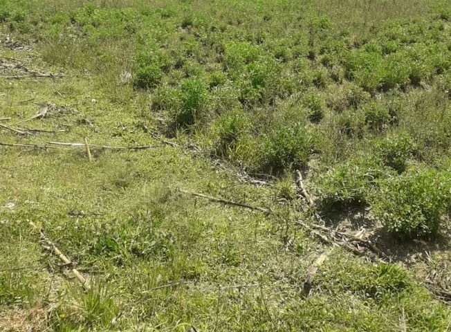 Terreno en venta en Tumbaco — imagen 2