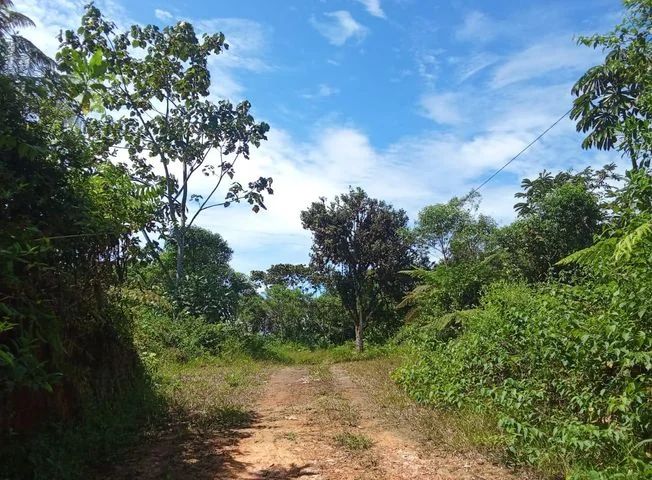 Terreno en venta en Santo Domingo — imagen 3