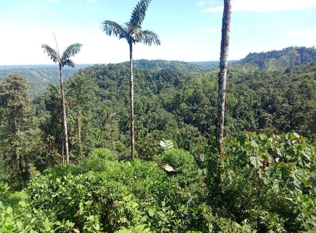 Terreno en venta en Santo Domingo — imagen 2