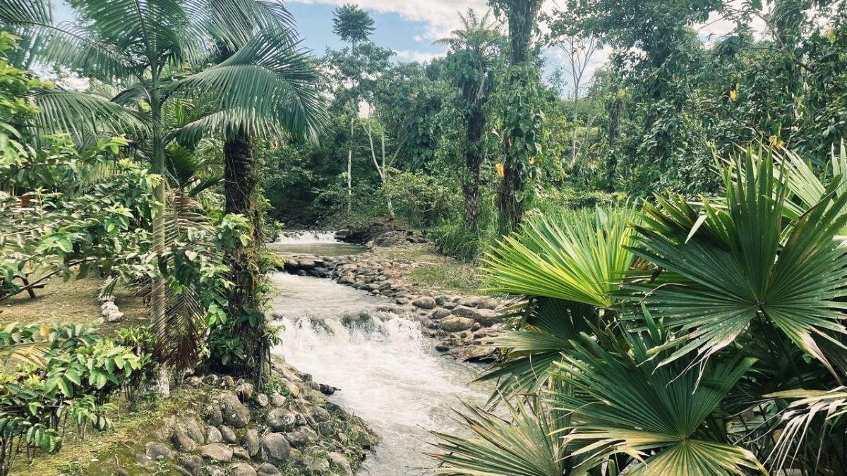 Quinta Vacacional con Casa en Venta de 835 m² Terreno, Puerto Quito — imagen 3