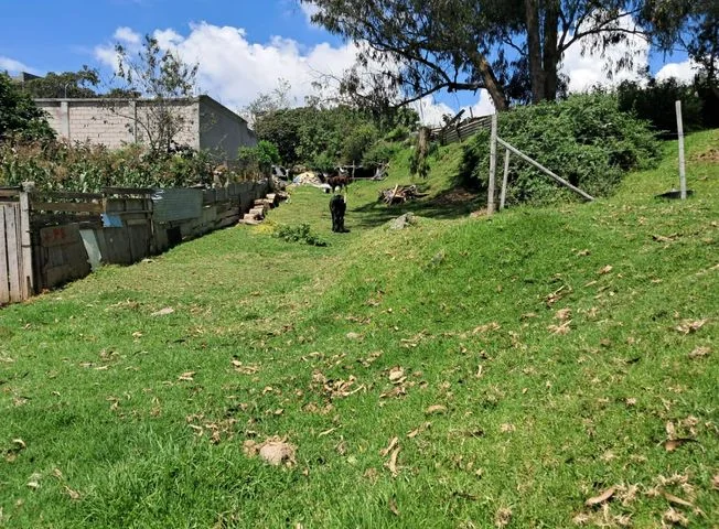 Terreno en venta en Centro De Quito — imagen 2