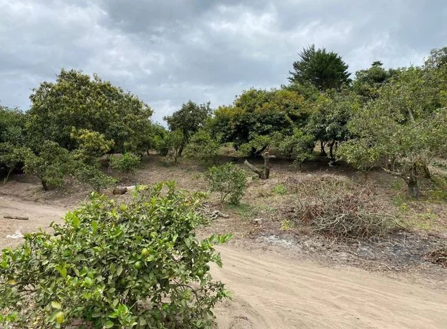 Terreno en venta en Guayllabamba — imagen 3