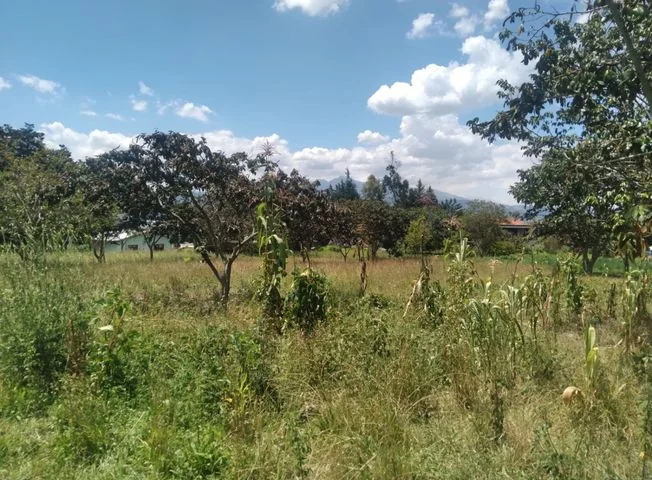 Terreno en venta en Tumbaco — imagen 1